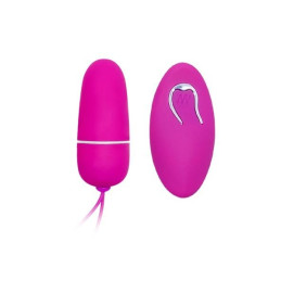 Loveshop dans le 63 La Gaterie Bradley Oeuf Vibrant Télécommande